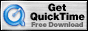 Download des Quicktime-Player